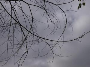ThuOct1120071257PM_3.jpg