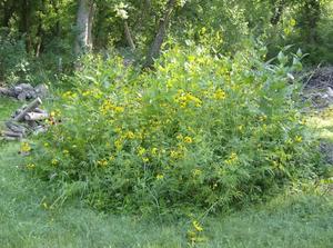 TueJul3120070333PM_2.jpg