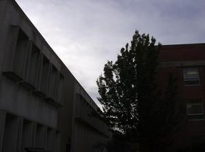 TueNov1320070450PM_2.jpg