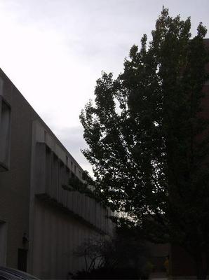 TueNov1320070451PM.jpg