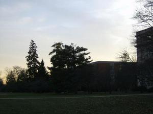 TueNov2720070540PM_3.jpg