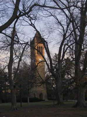 TueNov2720070544PM.jpg