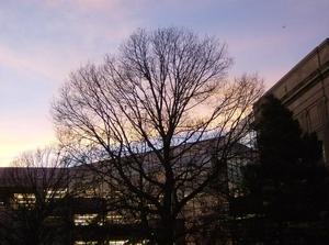 TueNov2720070559PM_3.jpg