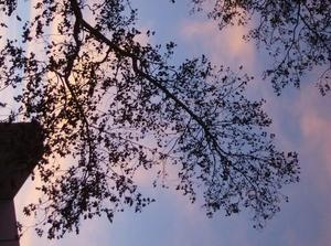TueNov2720070600PM_3.jpg