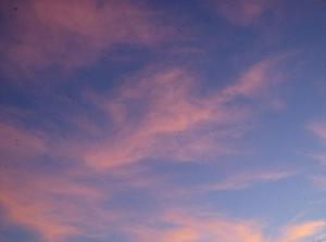 TueNov2720070603PM_4.jpg