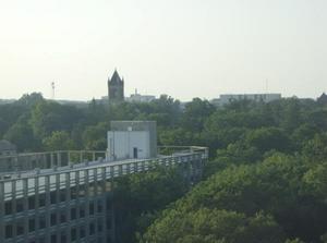 WedAug120070208AM_2.jpg