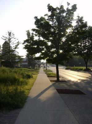 WedAug120070223AM.jpg