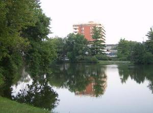 WedAug120070311AM.jpg