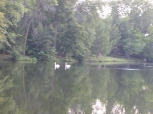 WedAug120070334AM.jpg
