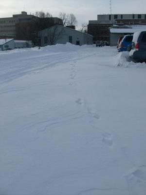WedDec2420080831AM.jpg