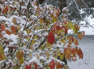 WedNov2120070157PM_2.jpg