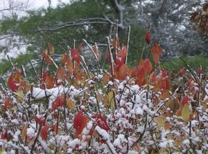WedNov2120070157PM_3.jpg
