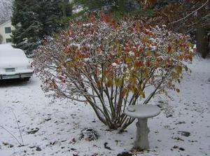 WedNov2120070157PM.jpg