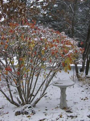 WedNov2120070158PM_2.jpg