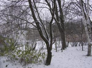 WedNov2120070205PM.jpg