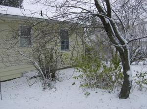 WedNov2120070206PM.jpg