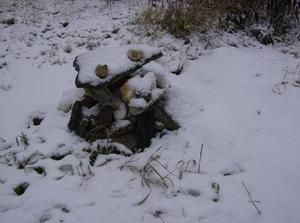 WedNov2120070207PM.jpg