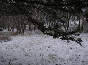 WedNov2120070208PM.jpg