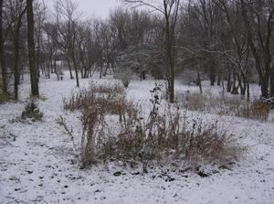WedNov2120070209PM.jpg