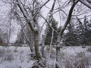 WedNov2120070210PM_2.jpg