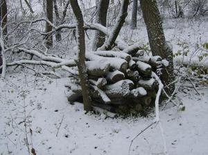 WedNov2120070210PM.jpg