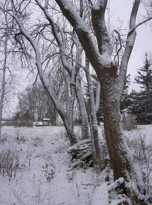 WedNov2120070211PM_3.jpg