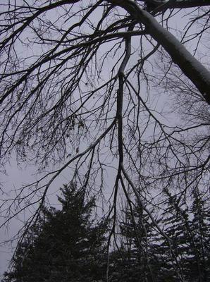 WedNov2120070212PM_3.jpg