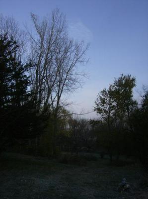 WedNov720070854AM_2.jpg