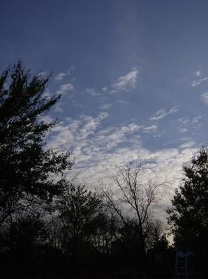 WedNov720070854AM_3.jpg