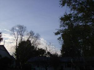 WedNov720070854AM_4.jpg
