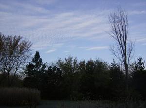 WedNov720070854AM.jpg