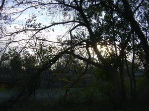 WedNov720070857AM_2.jpg
