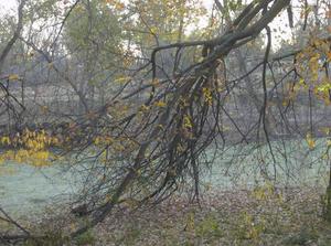 WedNov720070857AM_3.jpg