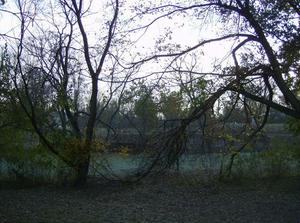WedNov720070857AM.jpg