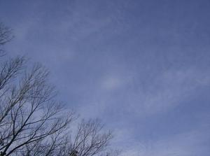 WedNov720070858AM_2.jpg