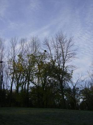 WedNov720070900AM_2.jpg