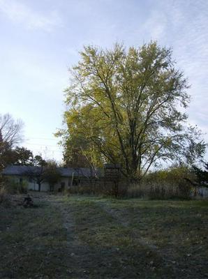 WedNov720070903AM.jpg