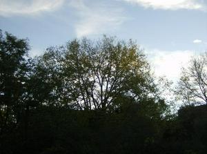 WedOct1020070631PM.jpg
