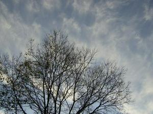 WedOct1020070632PM_4.jpg