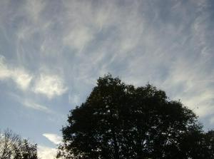 WedOct1020070632PM.jpg