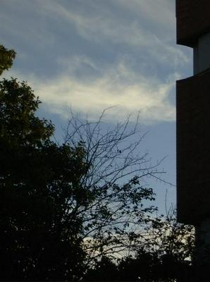 WedOct1020070635PM.jpg