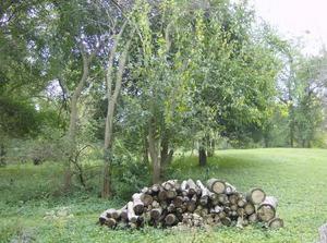 WedOct1020070929AM_2.jpg
