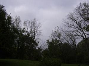WedOct1020070929AM_3.jpg