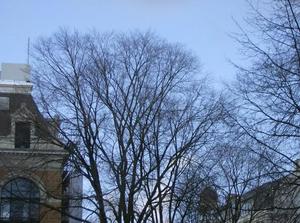 SatDec92006022642PM.jpg
