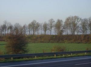 SatDec92006101902AM.jpg