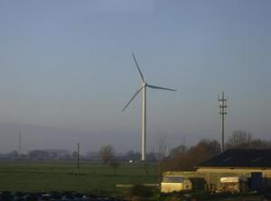 SatDec92006101950AM.jpg