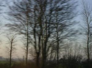 SatDec92006102011AM.jpg