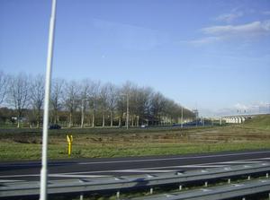 SatDec92006115149AM.jpg