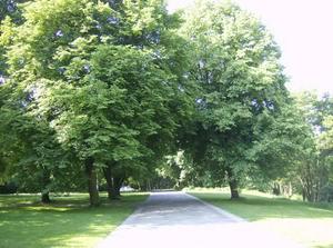 ThuMay2420070444PM_2.jpg