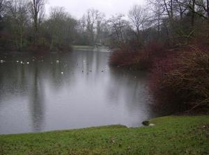 SatJan620070454PM_5.jpg